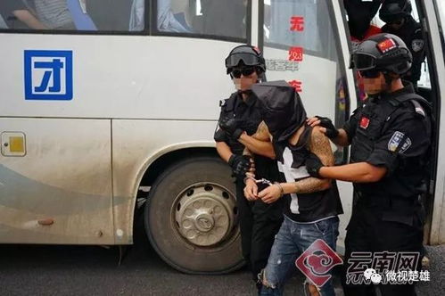 广州警方全力出击，对境外黑客案立案调查，捍卫网络安全防线
