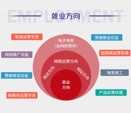 电子商务有哪些专业技能