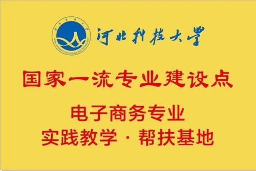 林业局电子商务专业招聘