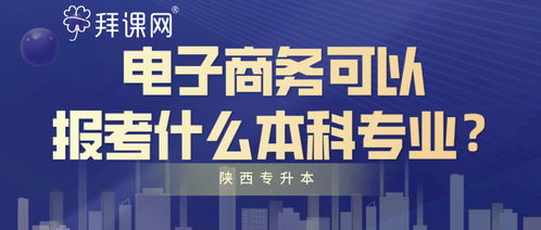 电子商务可报考本科专业