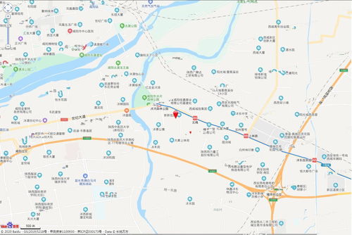 面试电子商务专业优势如何介绍