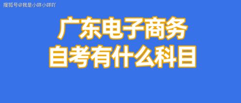 湖北省自学电子商务专业