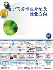 电子商务专业将来干什么
