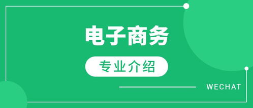 我对电子商务专业的展望
